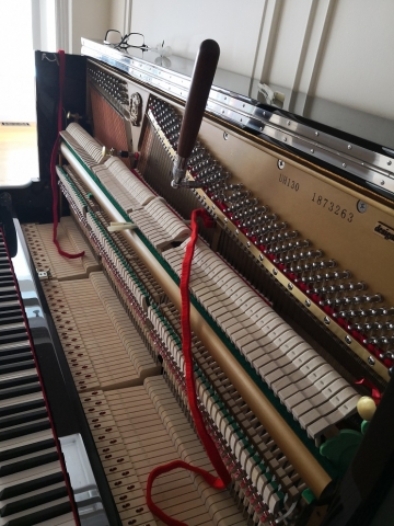 Kayserburg Auburn Pianos Tuning Sydney