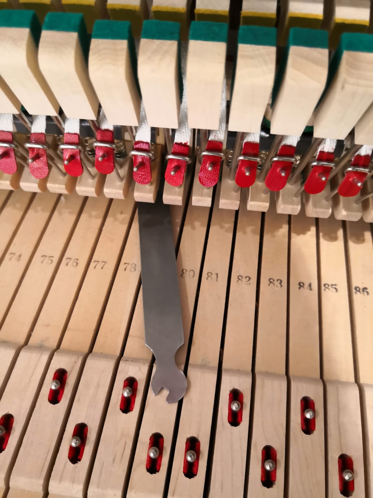 Piano Regulation, Repair and Tune